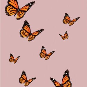 Meet your Posher, Chloe